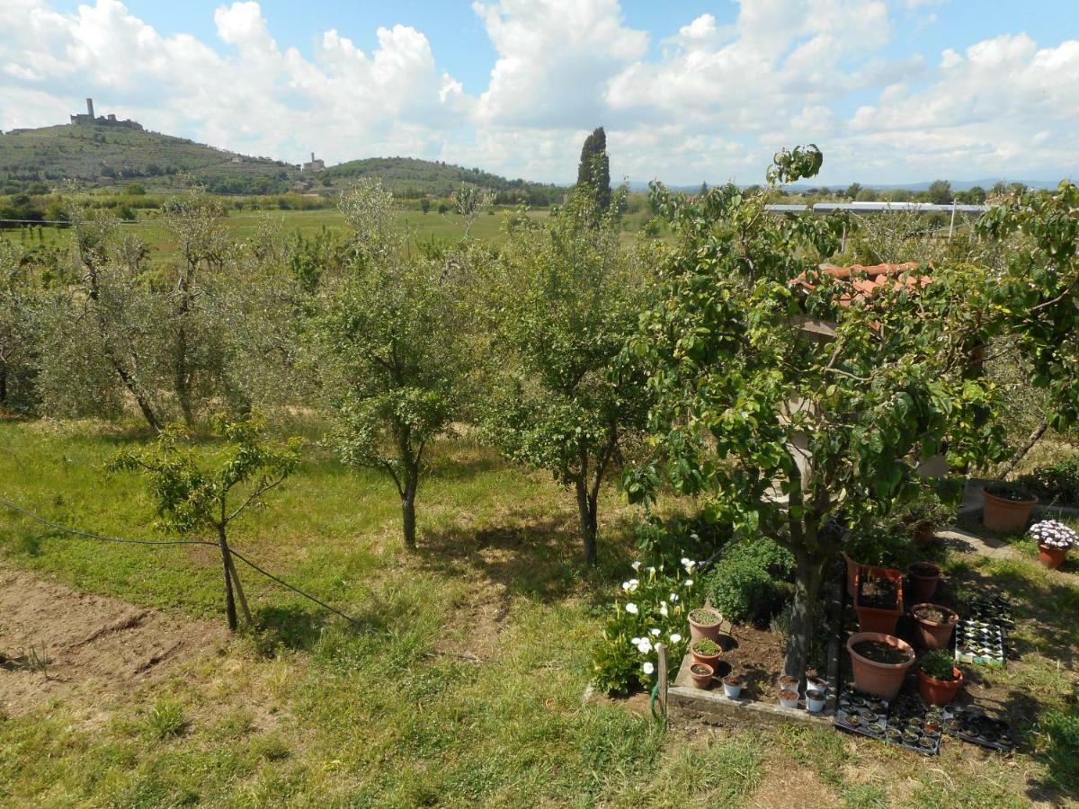 Poggio Fiorito Apartment Castiglion Fiorentino Ngoại thất bức ảnh