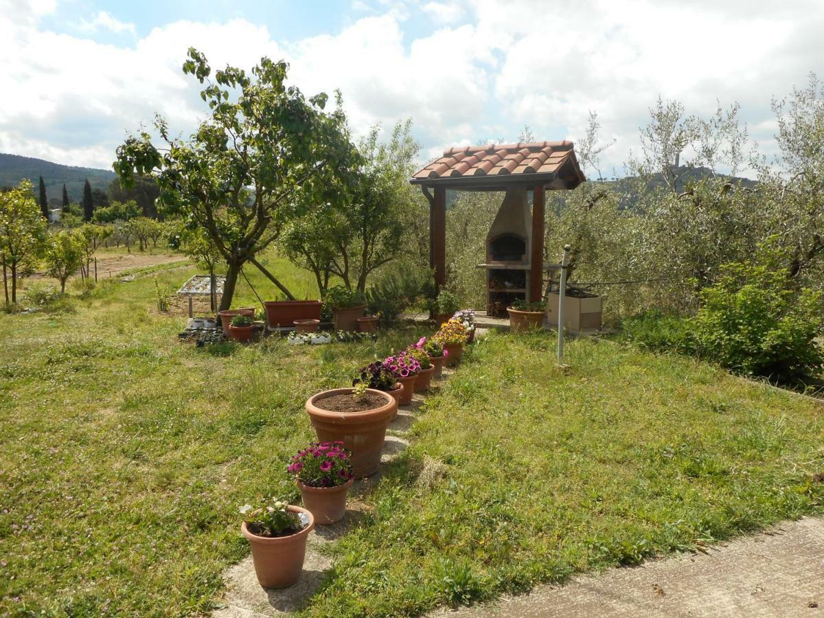 Poggio Fiorito Apartment Castiglion Fiorentino Ngoại thất bức ảnh